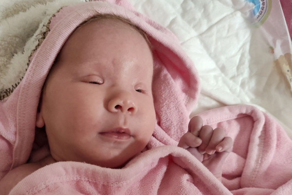 Az Első Győri LC kérése: Gyűjtés Friderika szemműtétjére